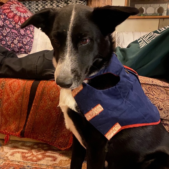 Woolrich Suede Velcro Dog Jacket Coat Navy Blue Brown Size Medium - Picture 11 of 11